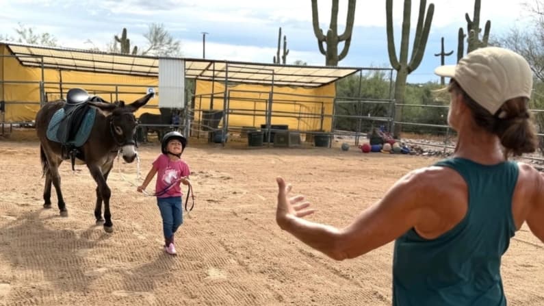 Los maestros y sanadores de cuatro patas de Arizona