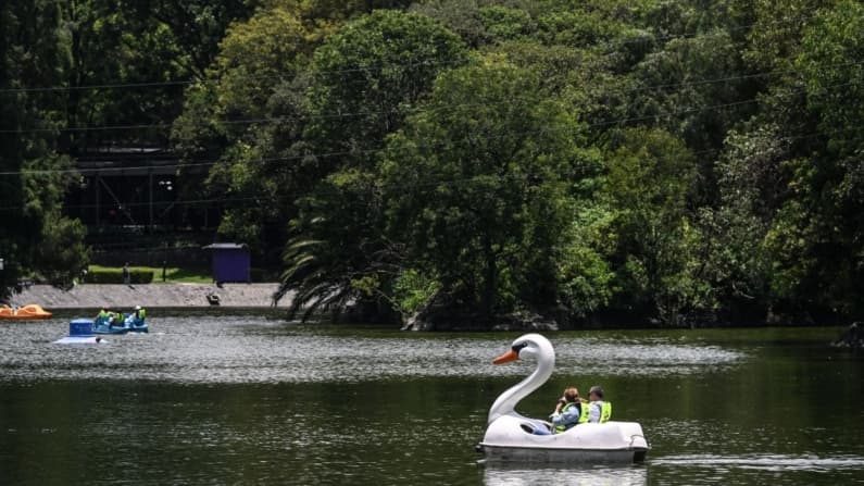 Ya son 6 lagos clausurados en México por contaminación con ameba comecerebros: hay una víctima fatal