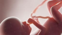 La profunda conexión entre el darwinismo y el aborto