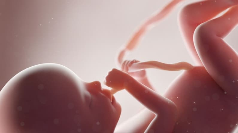 La profunda conexión entre el darwinismo y el aborto