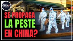Alerta sanitaria en China: Emiten avisos por Peste y retiran comunicados oficiales