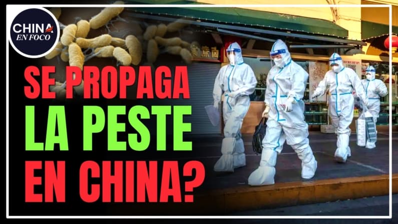 Alerta sanitaria en China: Emiten avisos por Peste y retiran comunicados oficiales