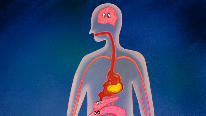6 cambios que pueden aparecer cuando dejas de comer antes de acostarte