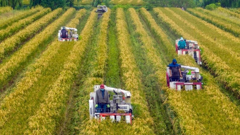 Aldeanos chinos denuncian destrucción de tierras de cultivo por excavaciones y vertidos de basura
