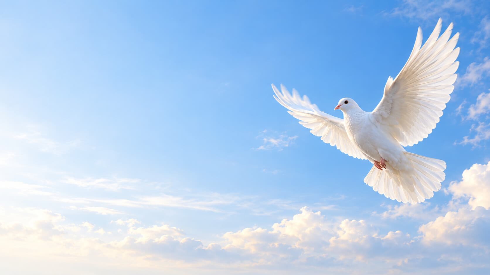 Paloma blanca volando sobre un cielo azul despejado
