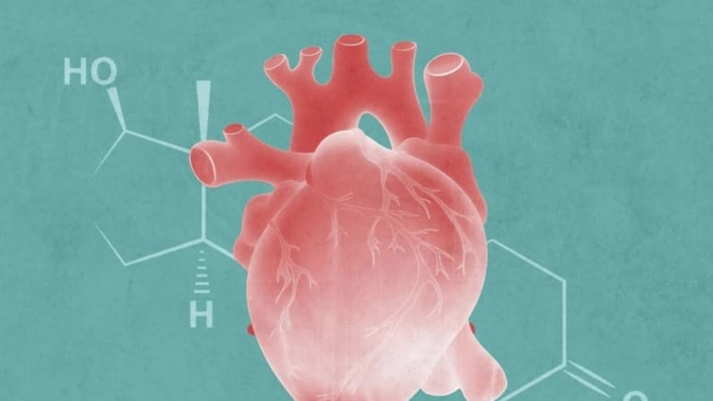 Tener niveles demasiado bajos o altos de testosterona puede poner en riesgo la salud del corazón