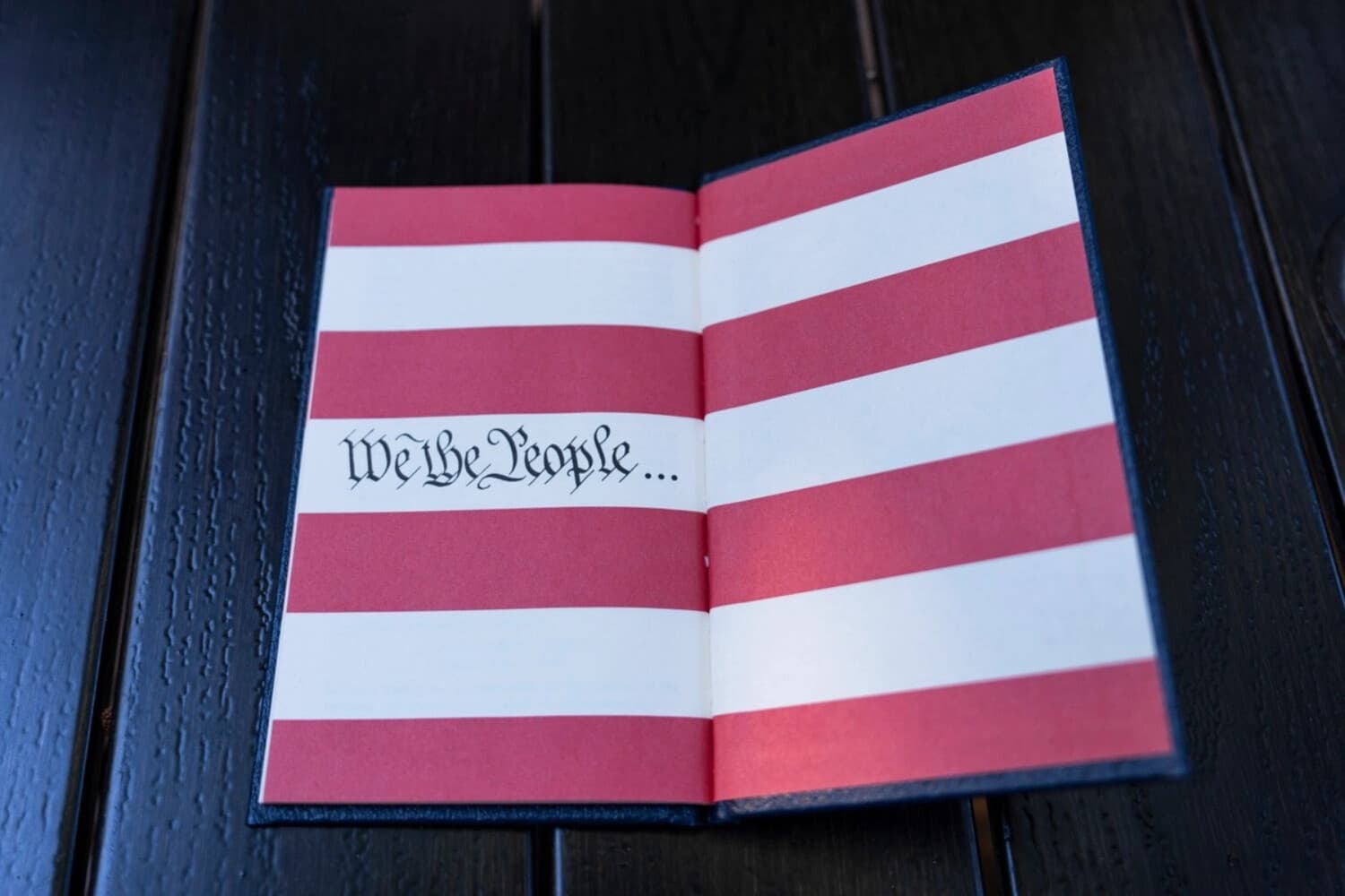 El libro "La Constitución de Estados Unidos de América" en Columbia, Maryland, el 9 de junio de 2024. (Madalina Vasiliu/The Epoch Times).