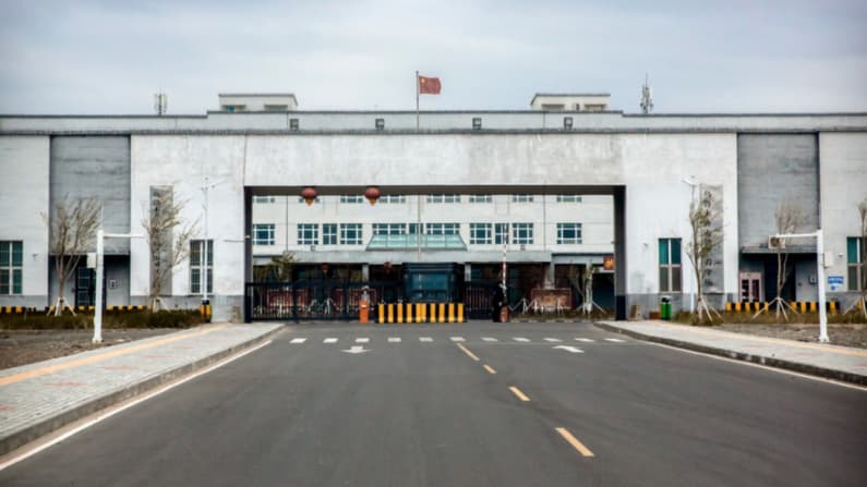 EE. UU. bloquea importaciones de 3 empresas chinas de genética que usan trabajo forzado